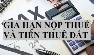 gia hạn nộp thuế